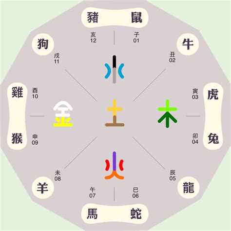 廖五行|廖字的五行属性